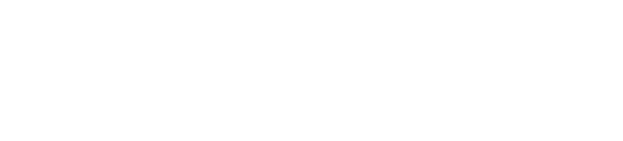 Логотип Петербургского Дневника